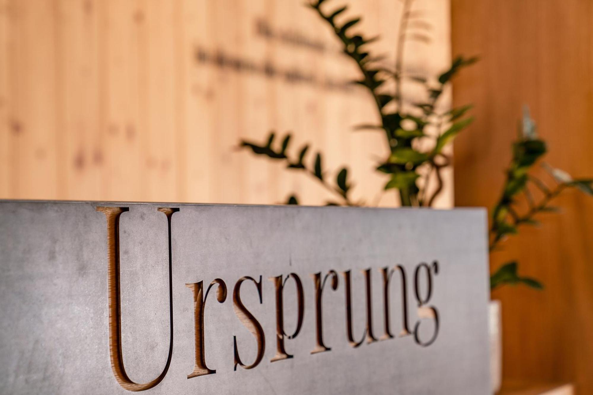 שלאדמינג Aparthotel Ursprung מראה חיצוני תמונה